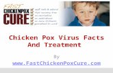 Chicken Pox Virus Facts And Treatment