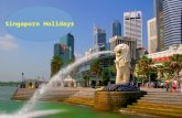 Singapore holidays with flight and hotels online
