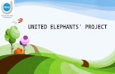 United Elephants - Team 2 Action Plan