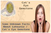 Some Unknown Facts About Lehsunia /  Catâ€™s Eye Gemstone