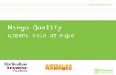 Mango quality - green skin at ripe - presentation from the Darwin Mango Field Day