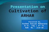 Arhar presentation