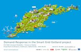 Demand-Response in the Smart Grid Gotland project