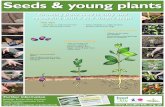 Seeds and Young Plants ~ Teacher Guide, Organic Gardening ~ United Kingdom