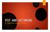 Pcp and ketamine