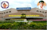 Integration of metabolism for medical school