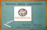 How should Business markets be  segmented?
