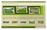 Green Tech. Nursery, Pune, Garden Landscaping