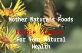 Edible Flowers - Mother Nature's Super Foods