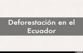 Deforestación en el Ecuador