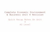 Complete Economic Environment & Business Unit 4 revision