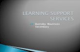 Learning support services