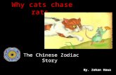 Why Cats Chase Rats