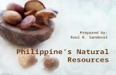 Philippine's Natural Resources