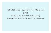 Gsm and Lte Network Architecture