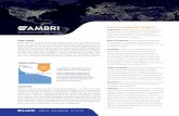 2013-Ambri Liquid Metal Battery Brochure