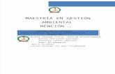 MAESTRIA GESTI+ôN AMBIENTAL  MENCION - copia.docx