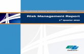 Caltrns Risk Mgmt Report
