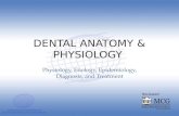 Dental Anatomy & Physiology