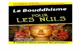 Bouddhisme Pour Les Nuls (French Edition), Le - Bodian, Stephan & LANDRAW, Jonathan