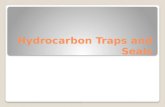 Hydrocarbon Traps and Seals