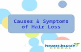 Causes & Symptoms of Hair Loss
