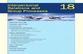 Group Processes Chapter18