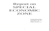 A Report on Special Economic Zone