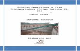 I1958Rev1 - GyM - Analisis Estructural a Estructura Faja Transportadora 59-005 Obra Rivera Pezet Jun15