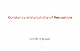 HUL 261 Constancy and Plasticity of Perception