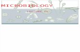 Microbiology Lecture Vi
