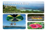 Discovery Bay Insider Guide