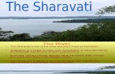 Sharavathi River 01