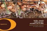 WSU Organic Agriculture