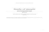 Study of River Ecosystem