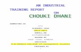 Chauki Dhani