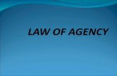 Law of Agency.
