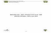 603_957_MP Biología Celular.pdf