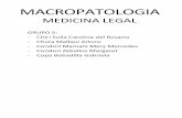 MACROPATOLOGIA Grupo 5.pdf