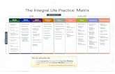Integral Life Practice Matrix