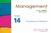 Management Robbins PPT14