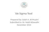 06 Six Sigma Presentation