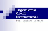 INGENIERIA CIVIL ESTRUCTURAL X.ppt