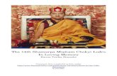 The 14th Shamarpa Mipham Chokyi Lodro In Loving Memory Karma Trinlay Rinpoche