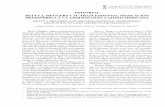 Chungara Vol. 45.4 - p-505