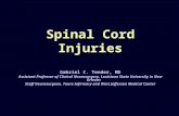 08.04.08 Spinal Cord Injuries
