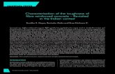 Toughness Characterization of FRC - Indian Context