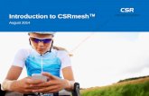 Introduction to CSRmesh