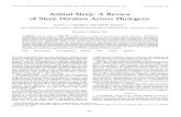 1984 Animal Sleep a Review of Sleep Duration Across Phylogeny