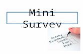 Mini Survey